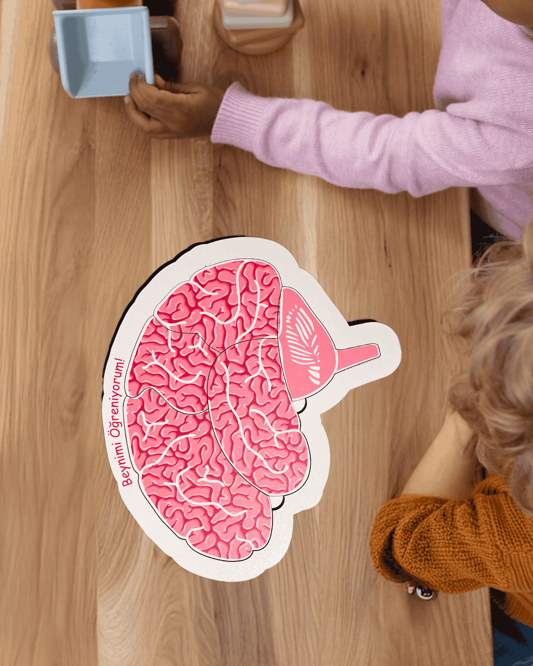 Beynimi Öğreniyorum Ahşap Oyuncak Moon Beavers™