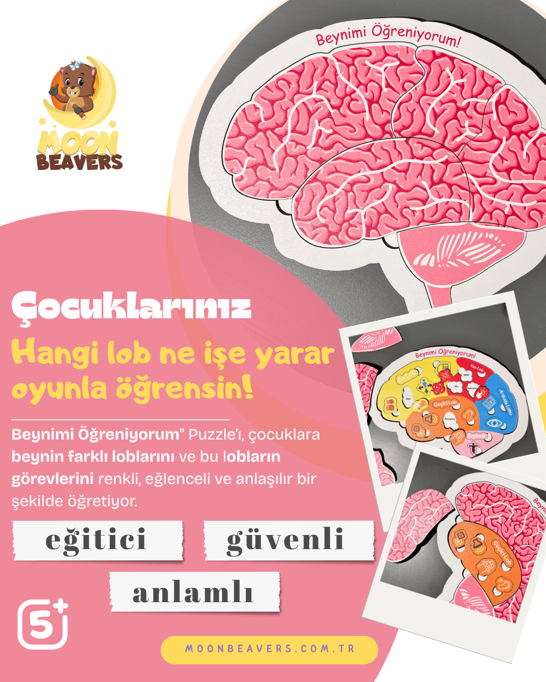 Beynimi Öğreniyorum Ahşap Oyuncak Moon Beavers™