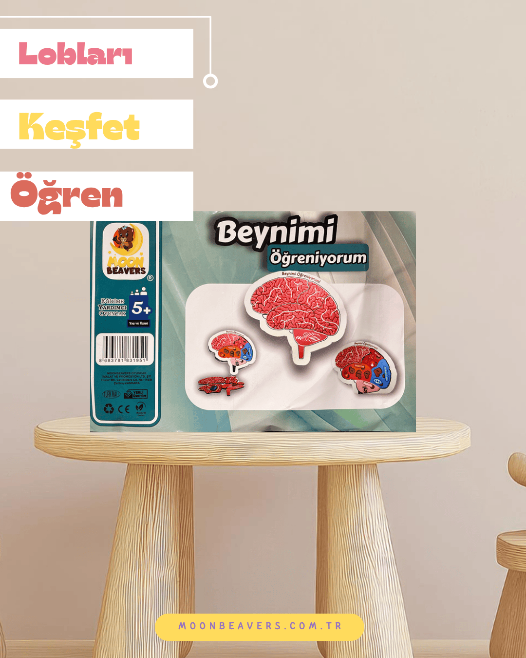 Beynin Yapısını Öğreten Ahşap Puzzle | Eğitici Bilim Oyuncağı