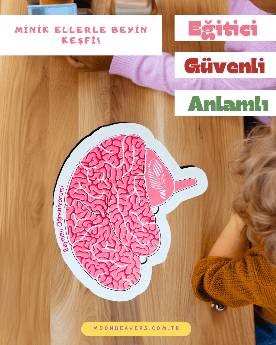 Beynimi Öğreniyorum Ahşap Oyuncak Moon Beavers™