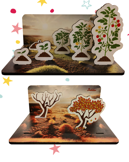 Meraklı Zihinler İçin Eğlenceli Serüvenler 3’lü Set |🌱Bitkinin Serüveni + 🧠 Kafanın Yapısı + 🏙️ Benim Şehrim