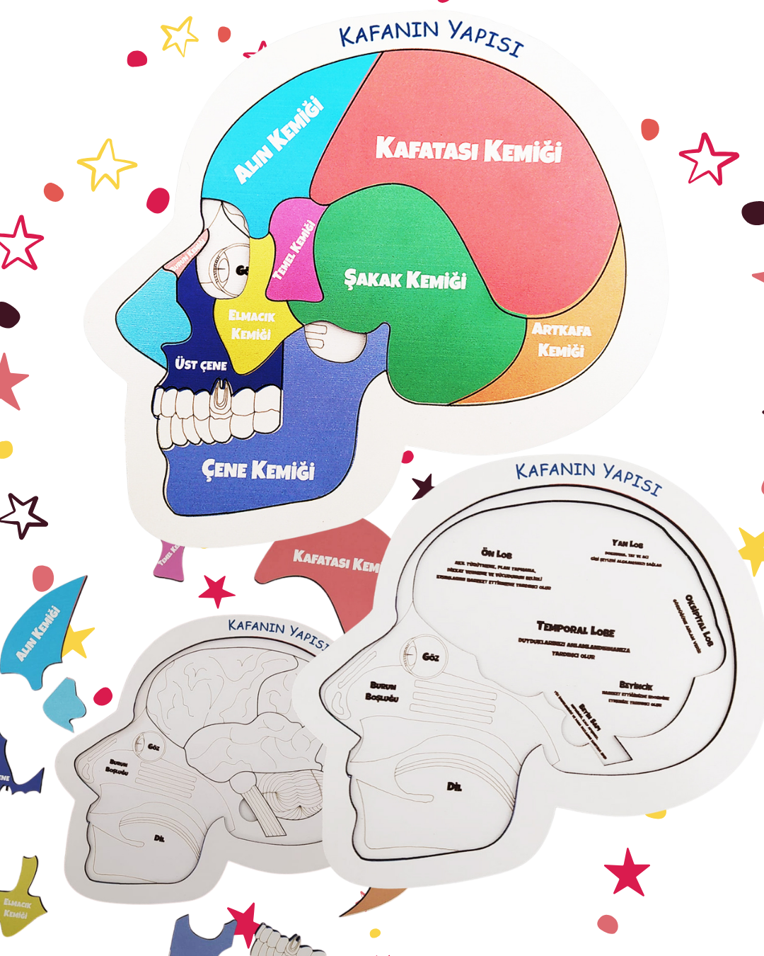 Meraklı Zihinler İçin Eğlenceli Serüvenler 3’lü Set |🌱Bitkinin Serüveni + 🧠 Kafanın Yapısı + 🏙️ Benim Şehrim