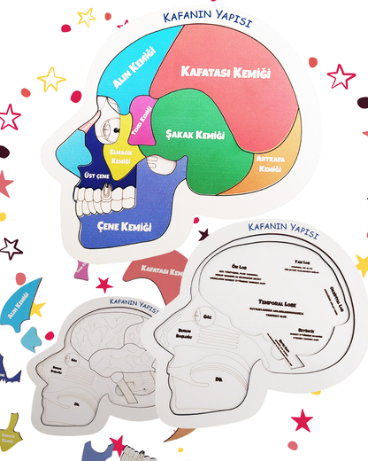 Meraklı Zihinler İçin Eğlenceli Serüvenler 3’lü Set |🌱Bitkinin Serüveni + 🧠 Kafanın Yapısı + 🏙️ Benim Şehrim
