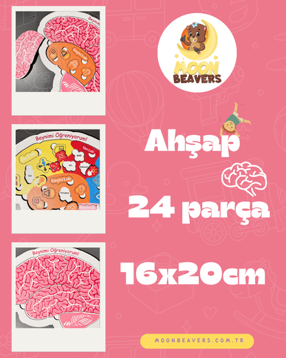 Beynimi Öğreniyorum Ahşap Oyuncak Moon Beavers™