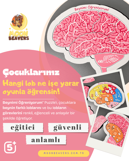 Beynimi Öğreniyorum Ahşap Oyuncak Moon Beavers™