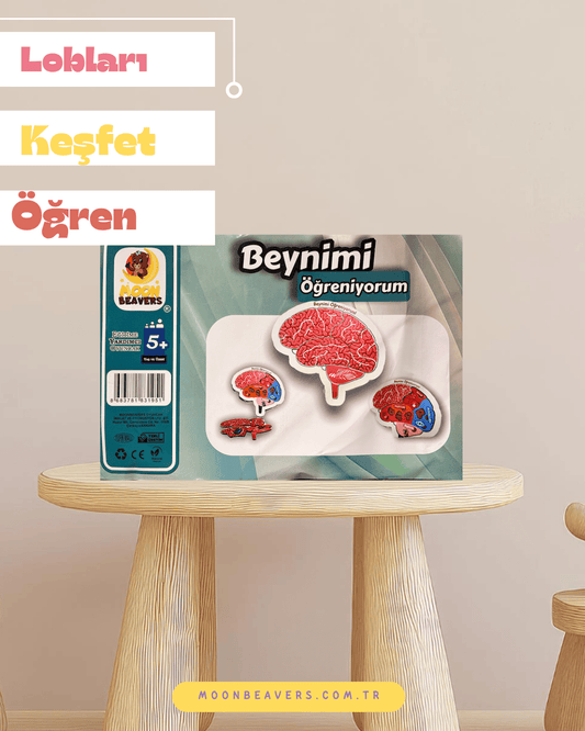 Beynimi Öğreniyorum Ahşap Oyuncak Moon Beavers™