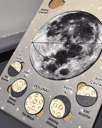 Ay’ın Evreleri Eğitici Ahşap Oyuncak Moon Beavers™
