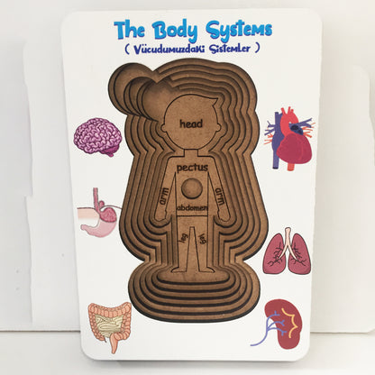Vücudumuz Sistemleri Erkek Ahşap Oyuncak Moon Beavers™